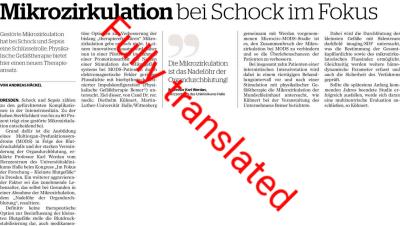 Schock im Fokus061017 kl