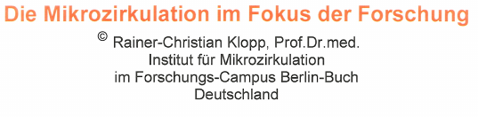 Mikrozirkulation im Fokus der Forschung